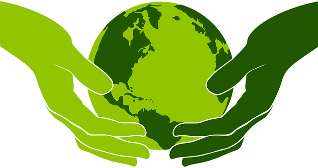 Sustainability Career Resources a green globe
