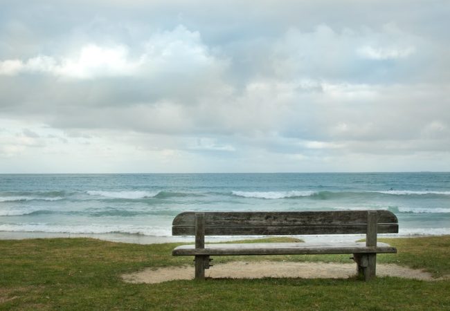 a serene bench overlooking the ocean